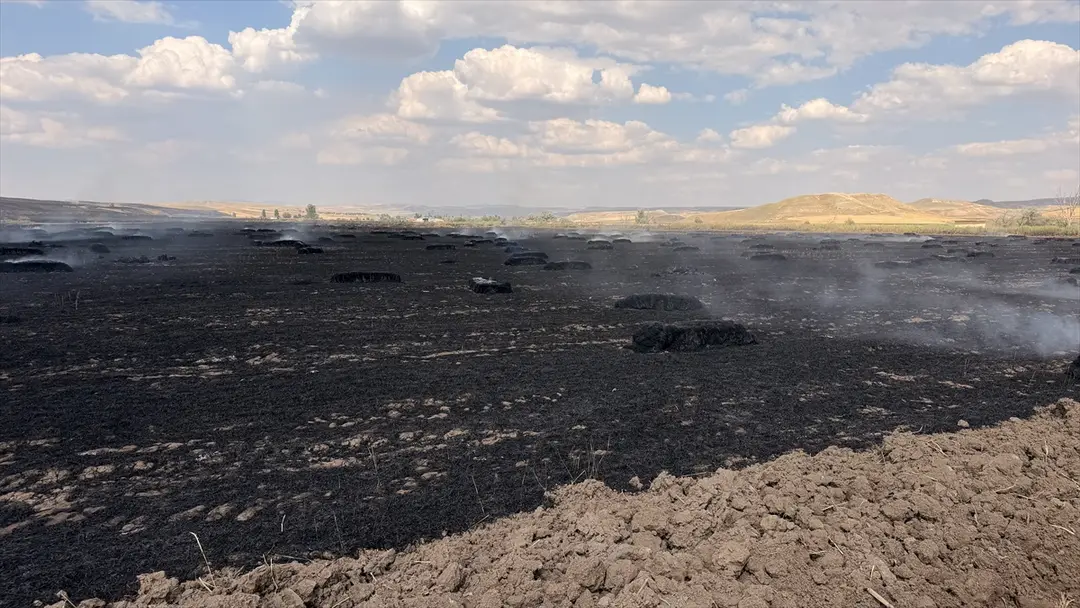 Yozgat'ta hububat tarlası yandı: 150 dekar zarar