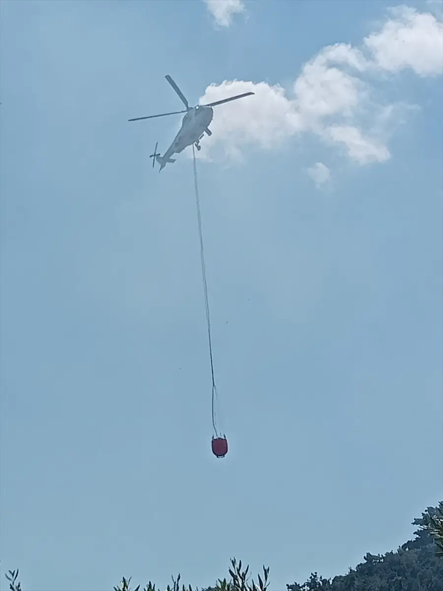 İzmir'de orman yangını kontrol altına alındı