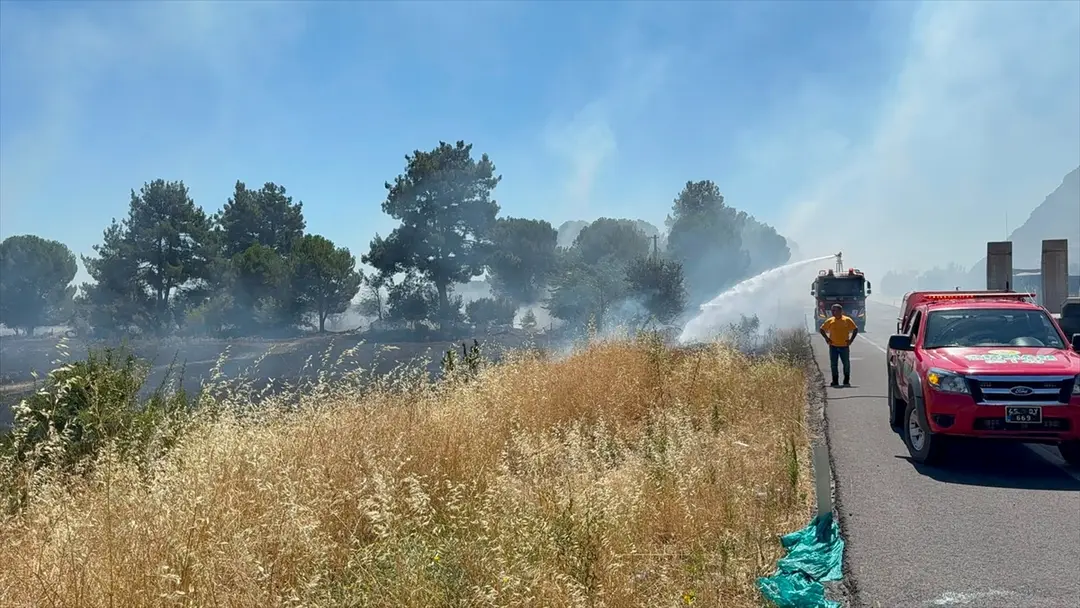 Manisa'da otluk alanda yangın: Arı kovanları yandı