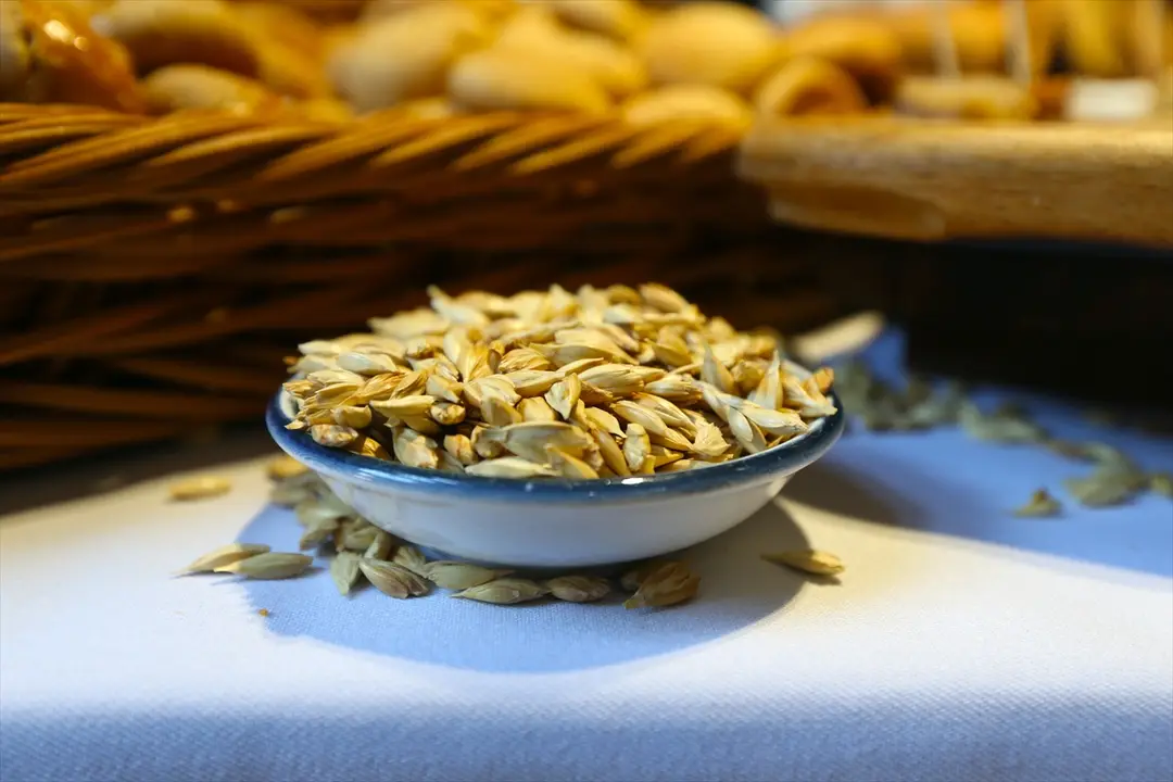 Kars: Uluslararası Gastronomi Film Festivali'ne Ev Sahipliği Yapıyor