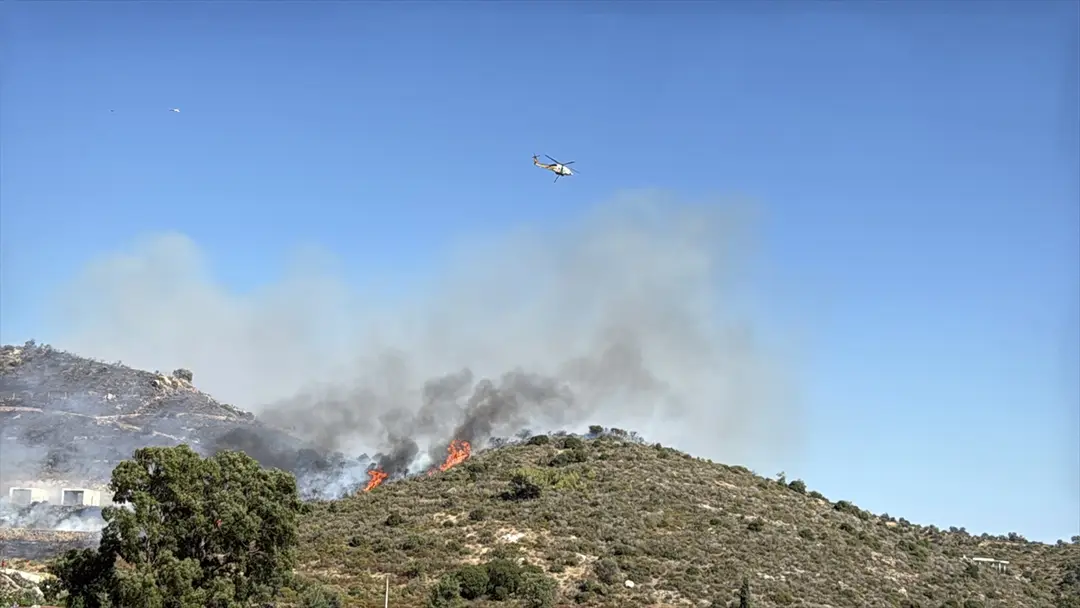 Bodrum'da makilik alanda çıkan yangın söndürüldü