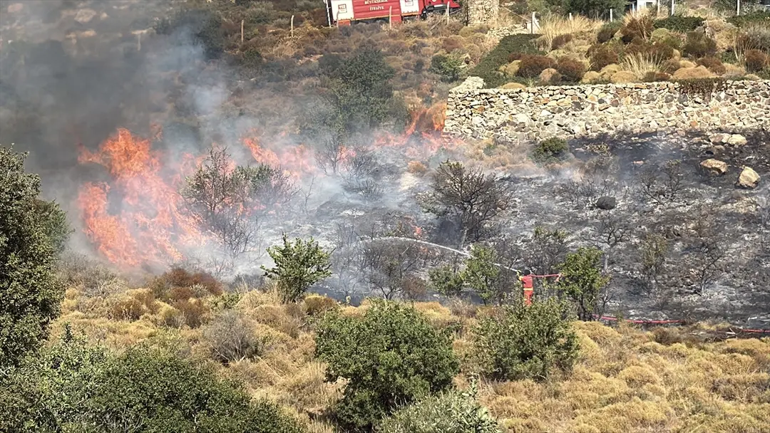 Bodrum'da makilik alanda çıkan yangın söndürüldü