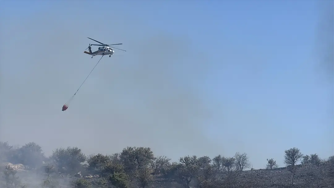 Bodrum'da makilik alanda çıkan yangın söndürüldü
