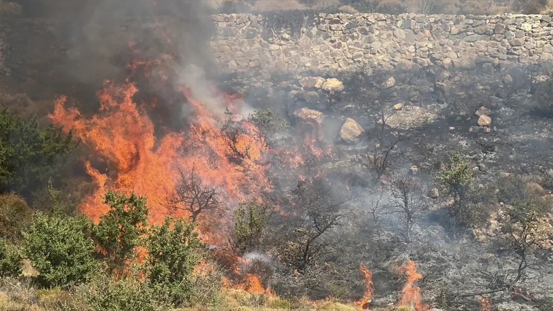 Bodrum'da makilik alanda çıkan yangın söndürüldü