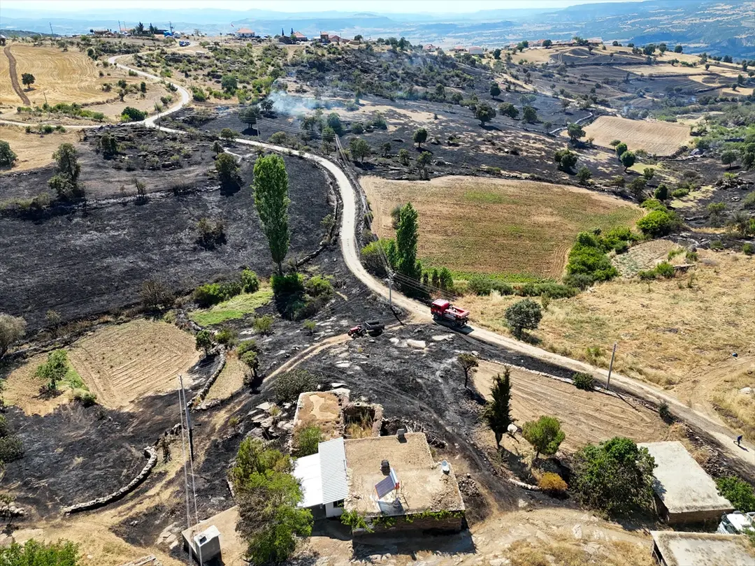 Uşak'ta makilik alana sıçrayan yangın kontrol altına alındı