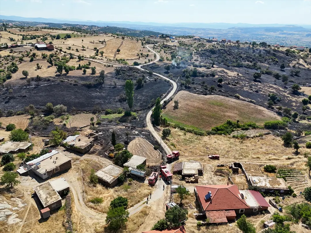 Uşak'ta makilik alana sıçrayan yangın kontrol altına alındı