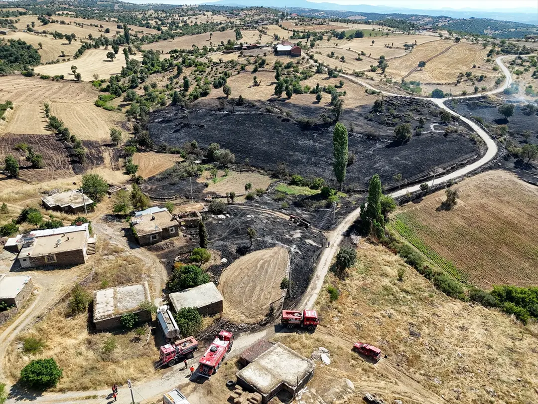 Uşak'ta makilik alana sıçrayan yangın kontrol altına alındı