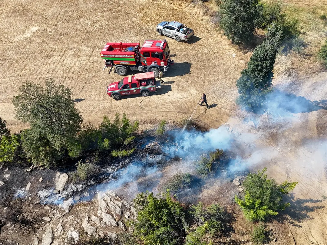 Uşak'ta makilik alana sıçrayan yangın kontrol altına alındı