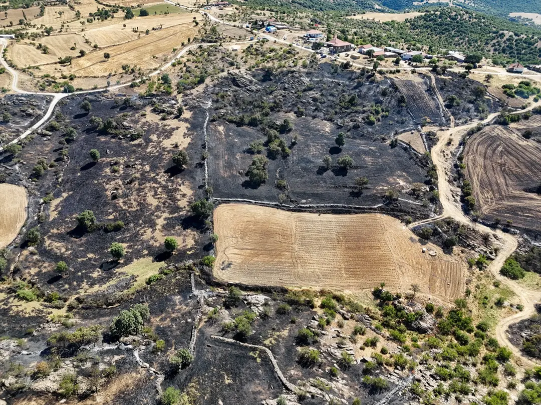 Uşak'ta makilik alana sıçrayan yangın kontrol altına alındı