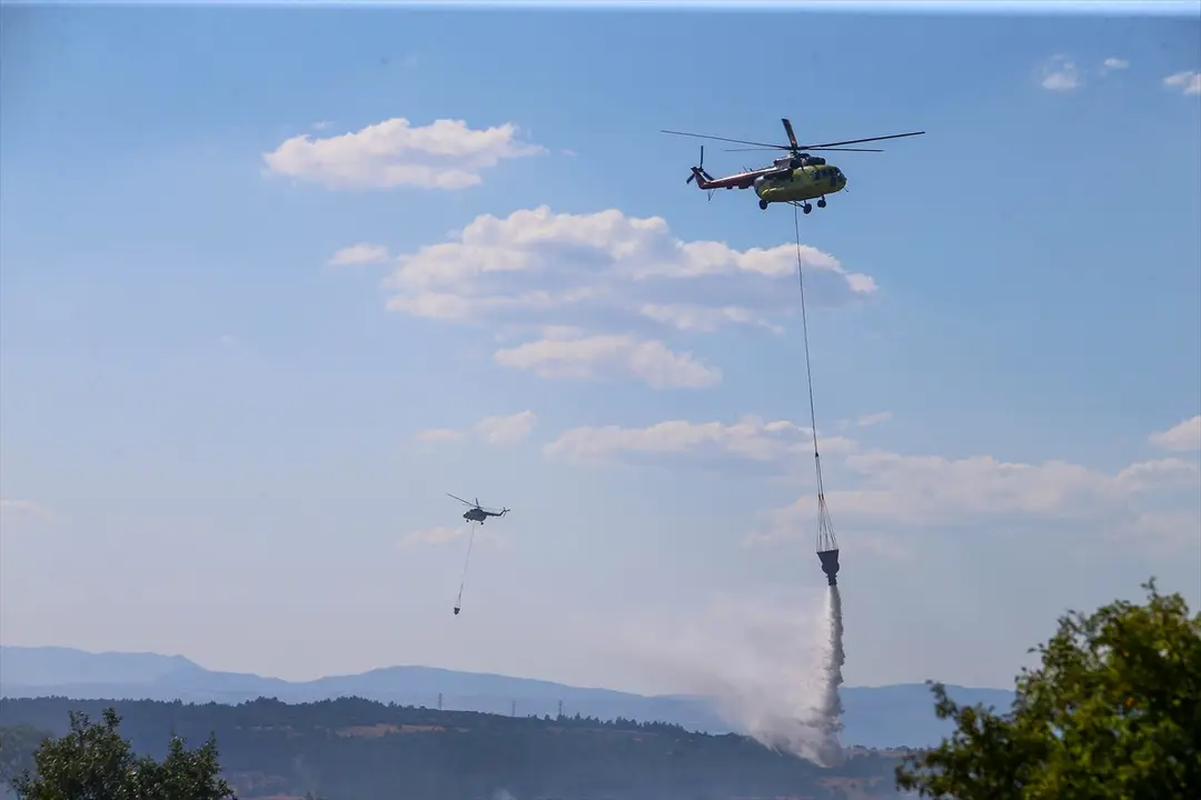 Uşak'ta ormana sıçrayan yangın kontrol altına alındı