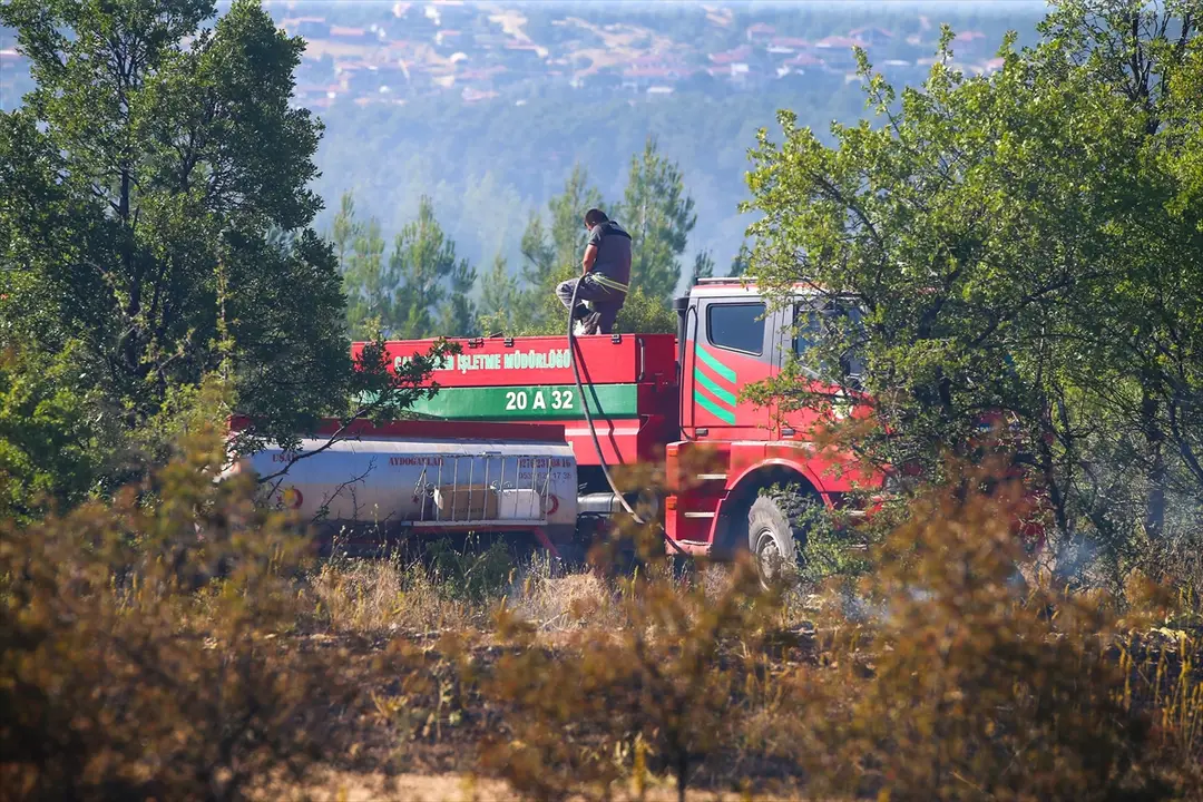 Uşak'ta ormana sıçrayan yangın kontrol altına alındı