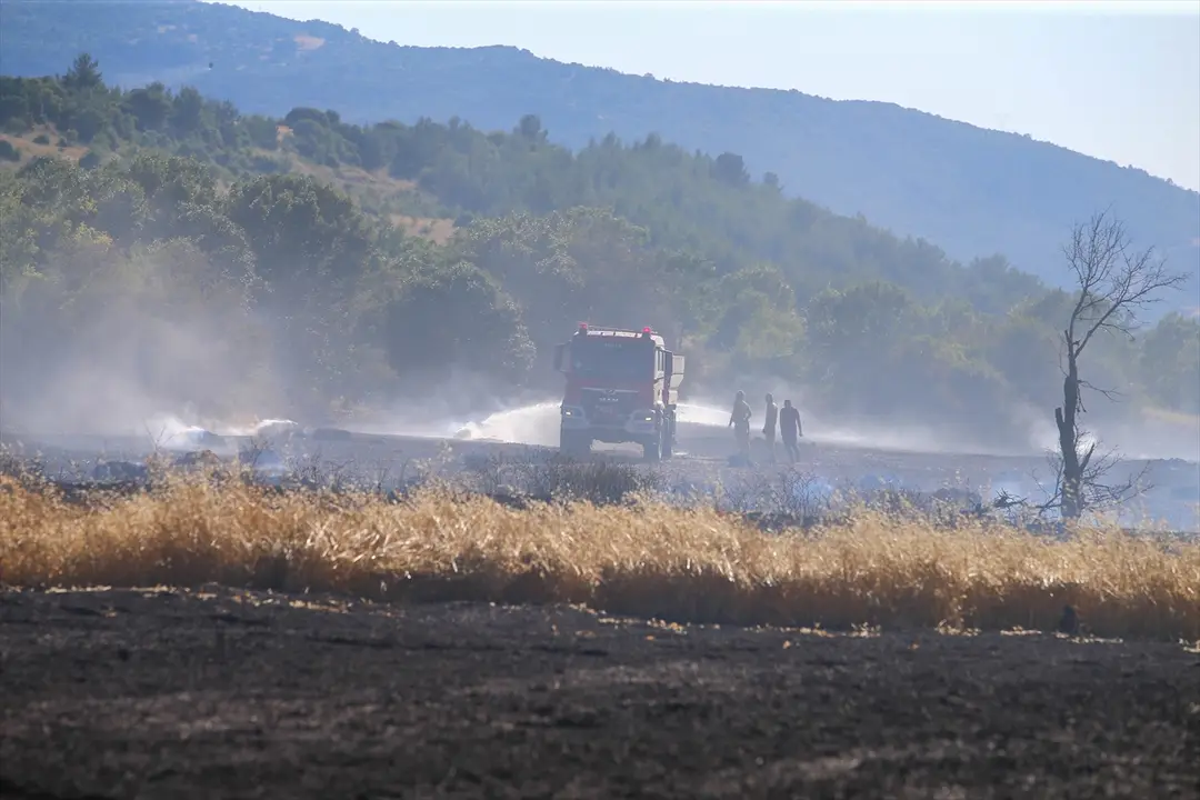 Uşak'ta ormana sıçrayan yangın kontrol altına alındı