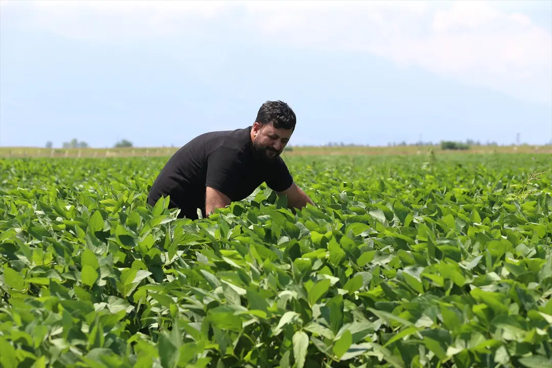 Erdbebenopfer Sinan Satmaz: Produktion geht weiter dank staatlicher Unterstützung