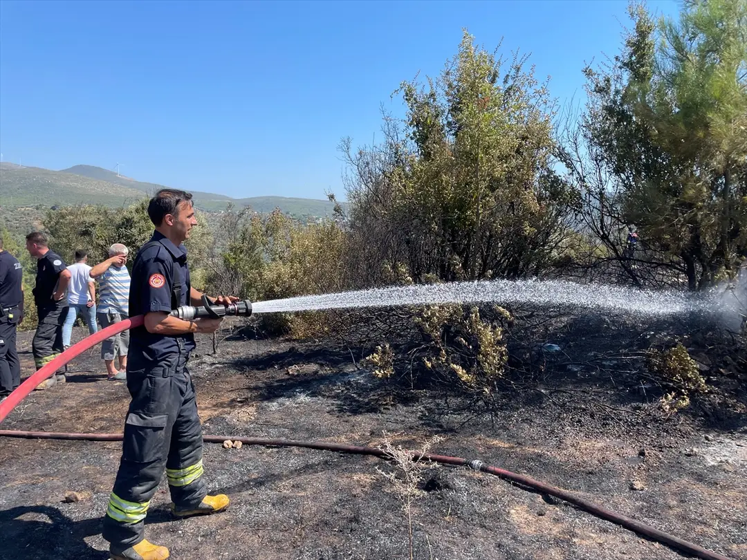 Bodrum'da makilik alanda yangın söndürüldü