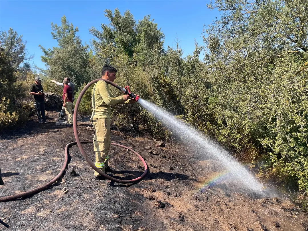 Bodrum'da makilik alanda yangın söndürüldü