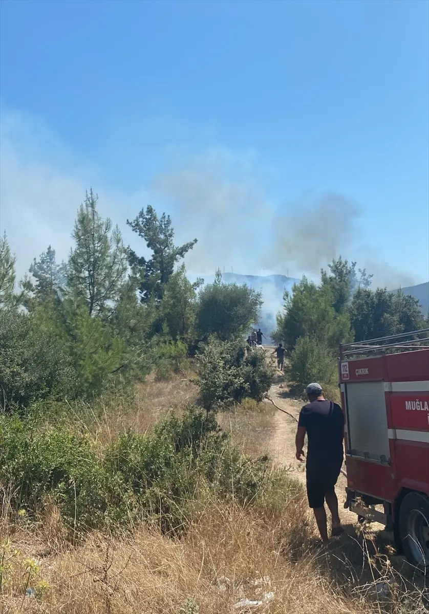 Bodrum'da makilik alanda yangın söndürüldü