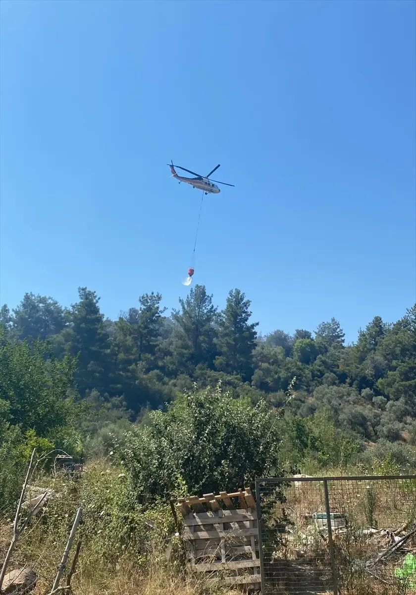 Bodrum'da makilik alanda yangın söndürüldü