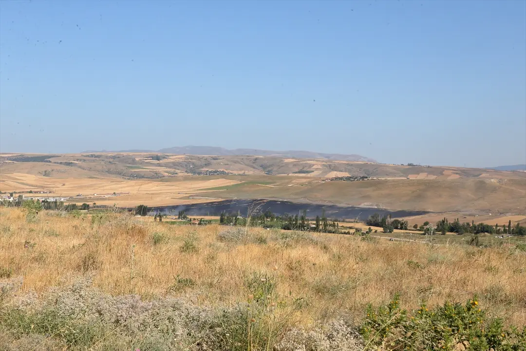Çorum'da yangın: 250 dekar arazi zarar gördü