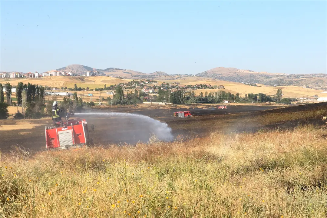 Çorum'da yangın: 250 dekar arazi zarar gördü