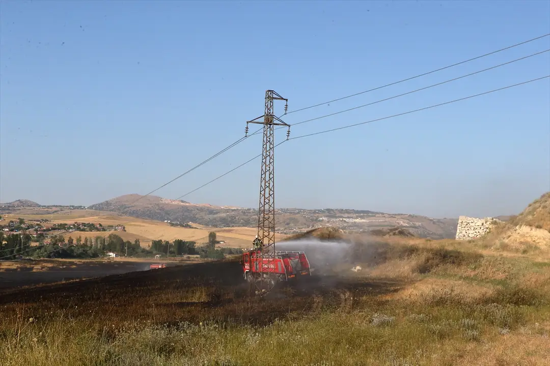 Çorum'da yangın: 250 dekar arazi zarar gördü