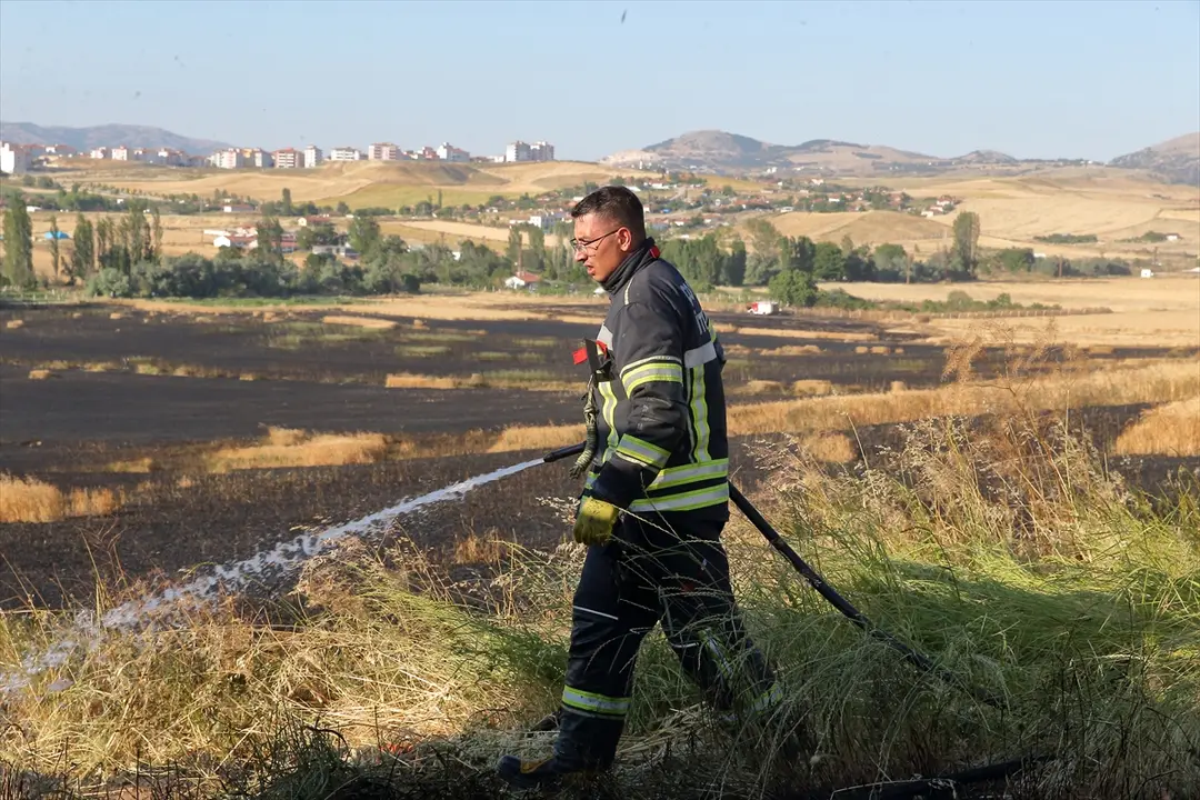 Çorum'da yangın: 250 dekar arazi zarar gördü