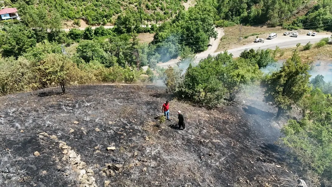 Feke'de Yangın Kontrol Altında Alındı