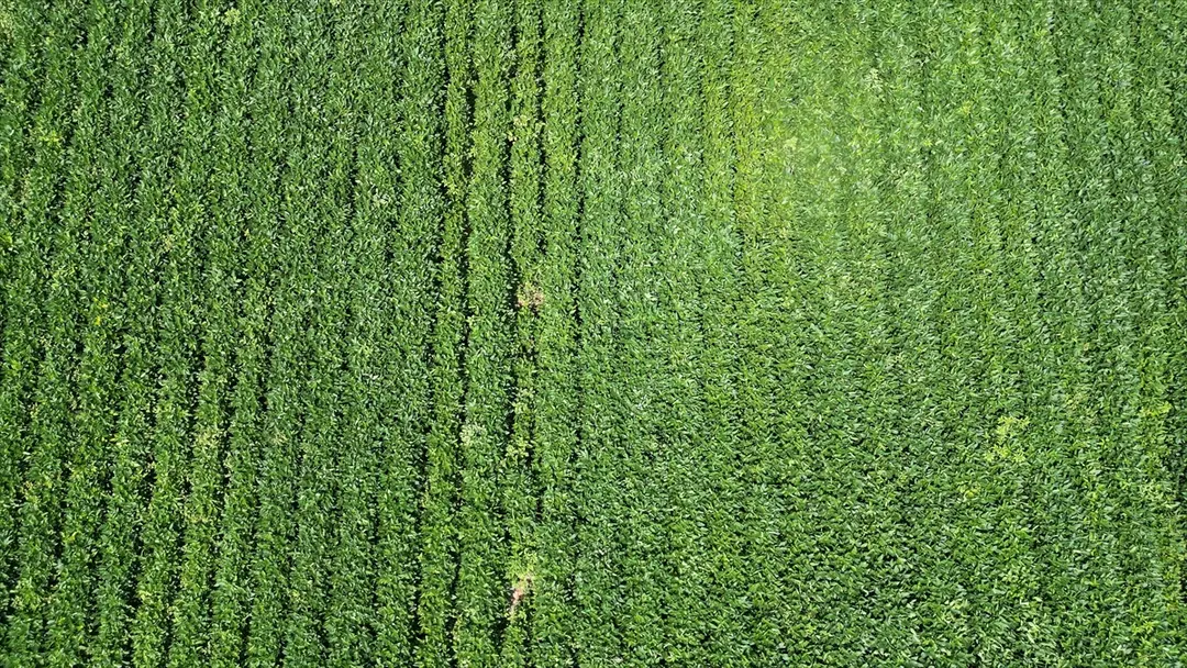 Erdbebenopfer Sinan Satmaz: Produktion geht weiter dank staatlicher Unterstützung