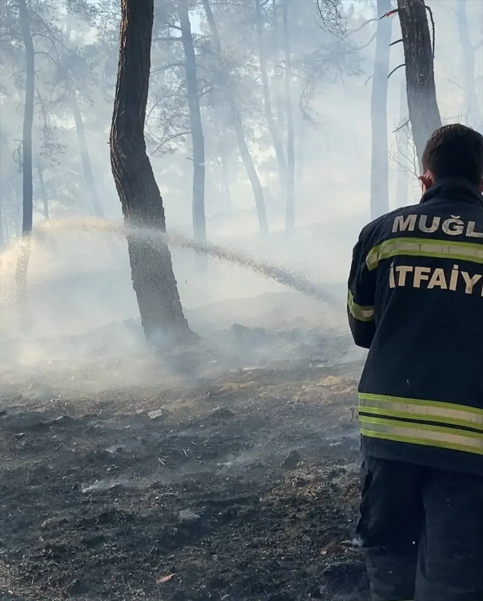 Ortaca'da orman yangınına müdahale ediliyor