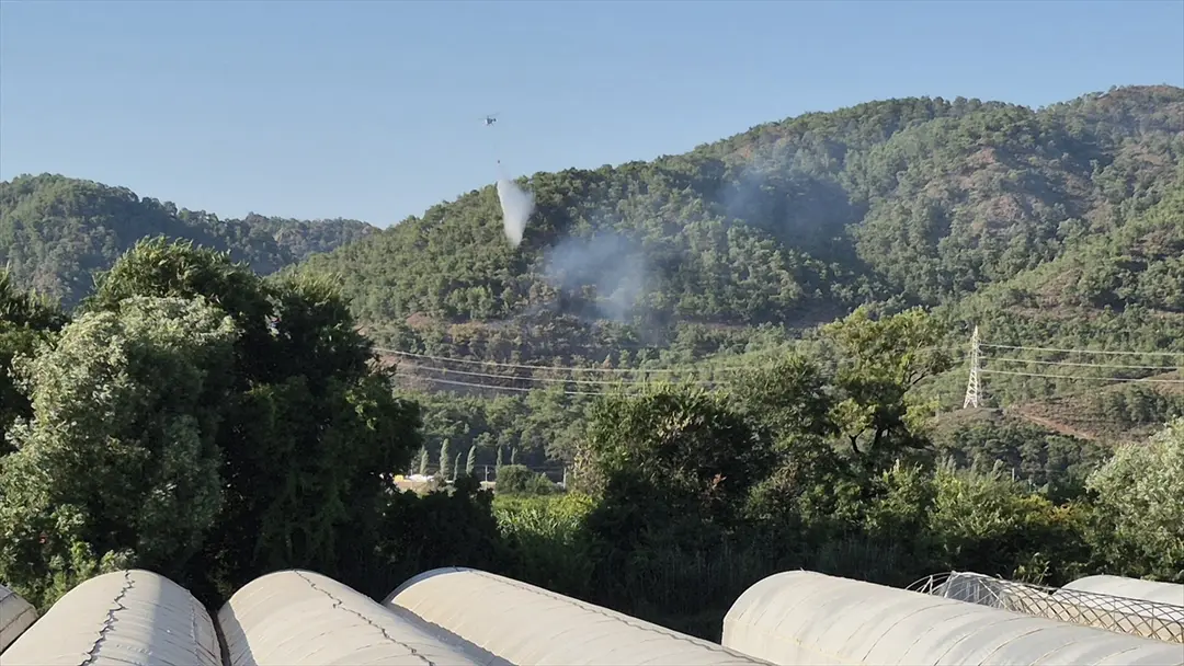 Ortaca'da orman yangını kontrol altına alındı