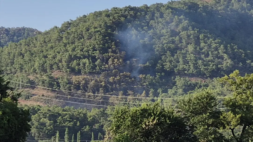 Ortaca'da orman yangını kontrol altına alındı