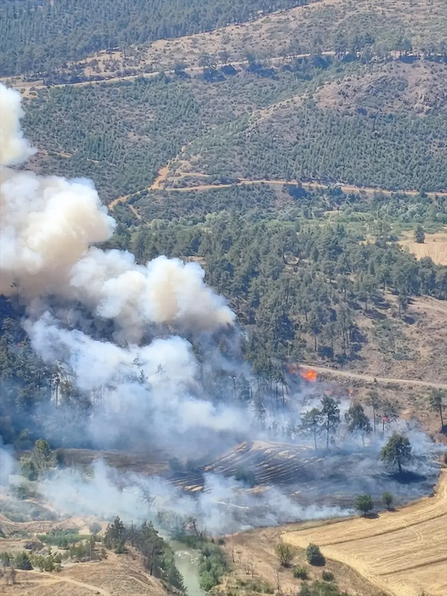 Bursa'da orman yangınına müdahale sürüyor