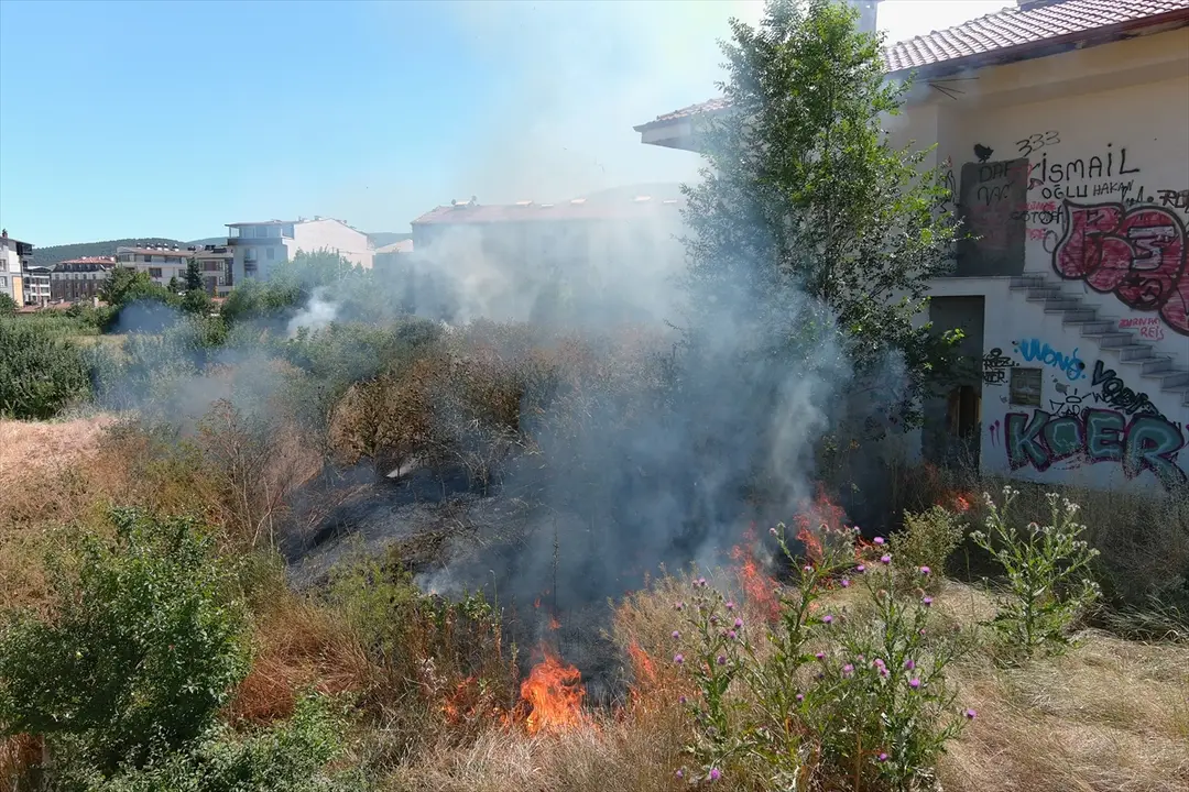 Kütahya'da otluk alanda yangın söndürüldü