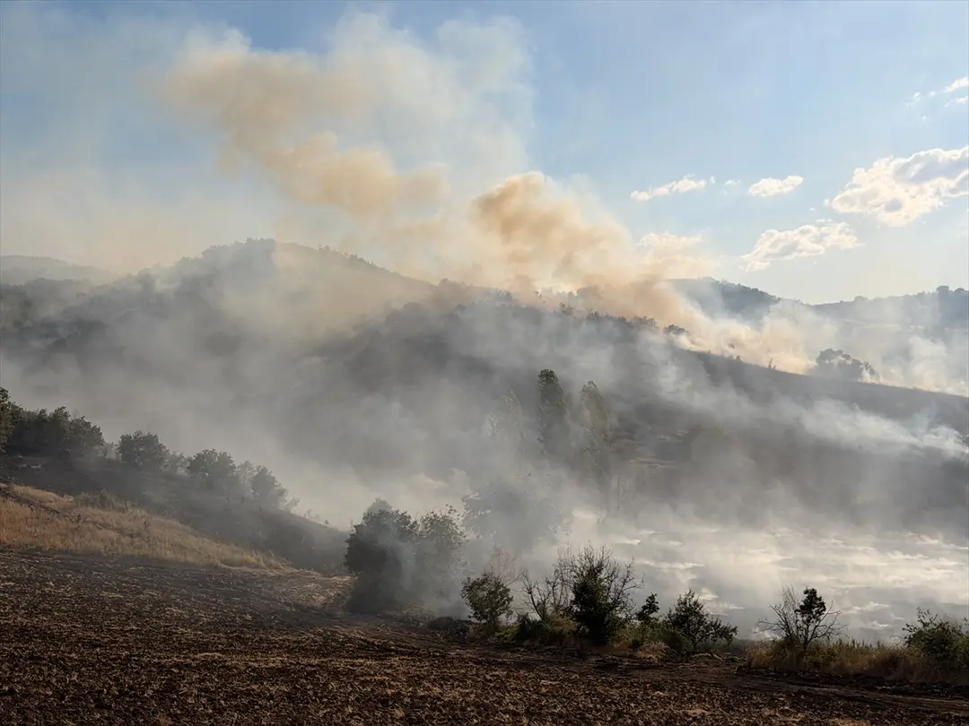Çorum'da orman yangınına müdahale ediliyor