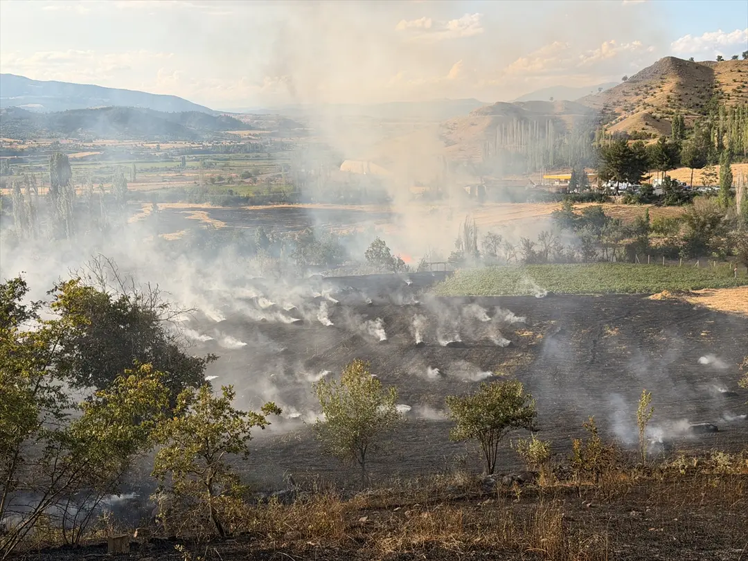 Çorum'da orman yangınına müdahale ediliyor