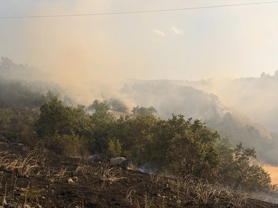 Çorum'da orman yangınına müdahale ediliyor