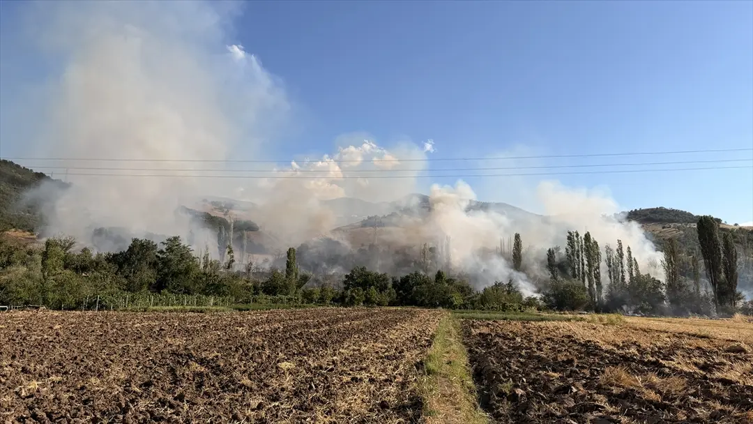 Çorum'da orman yangınına müdahale ediliyor