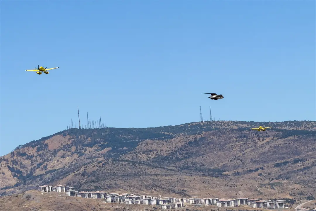 İzmir'de orman yangınına müdahale sürüyor