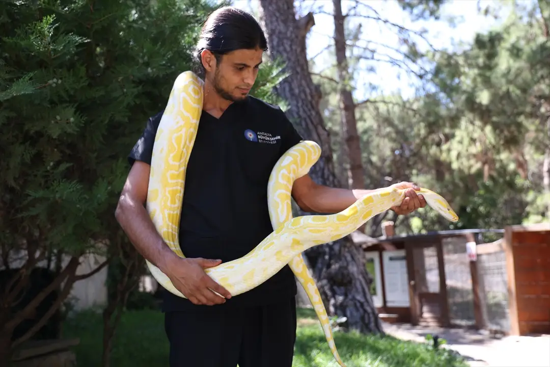 Antalya Doğal Yaşam Parkı'nda Dünya Yılan Günü etkinliği