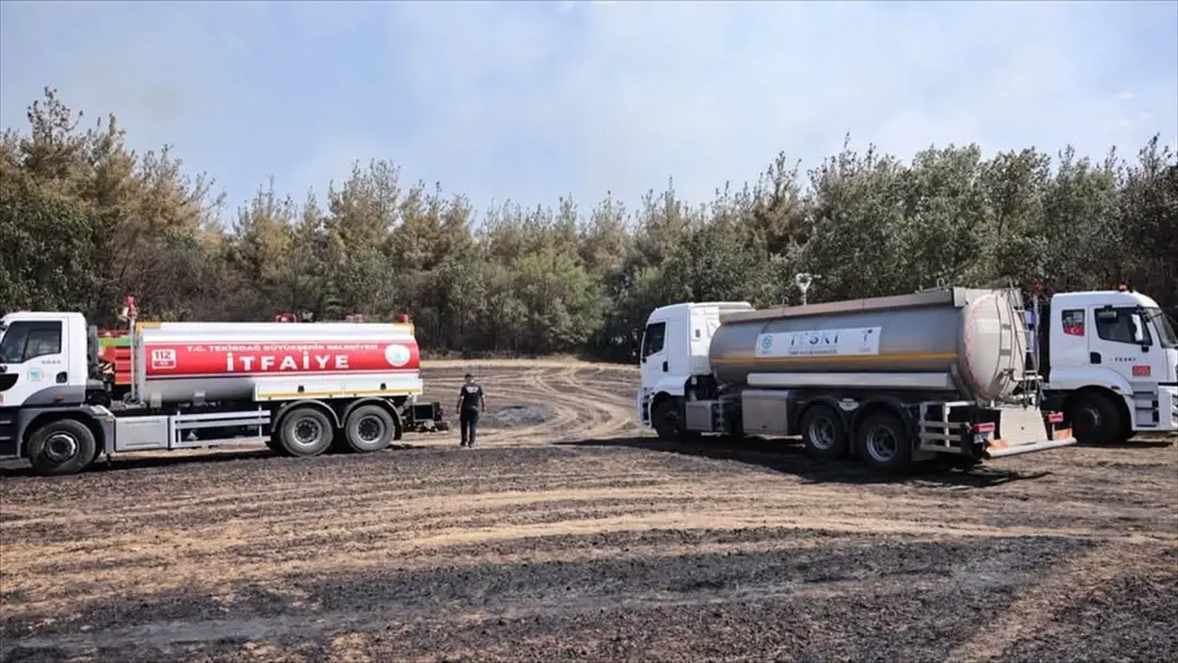 Tekirdağ'da orman yangını söndürüldü