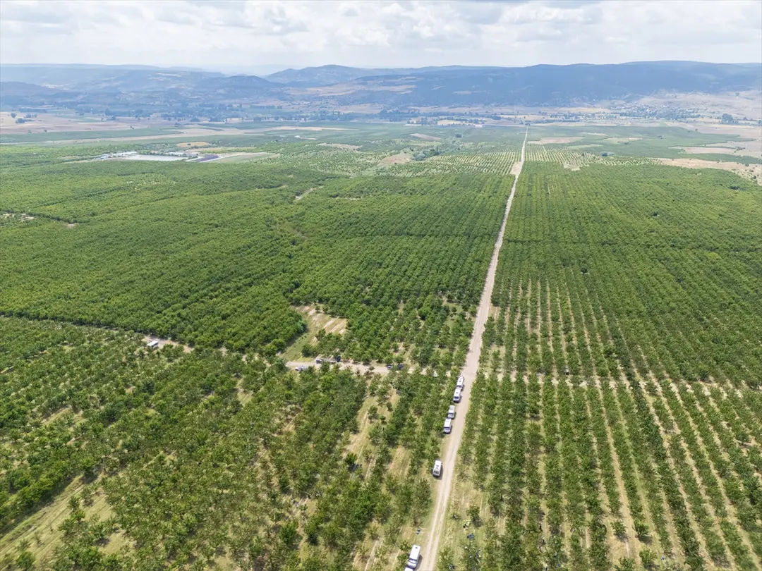 Yozgat köylüleri: Tarla birleştirme ile rekolte 30 kat arttı