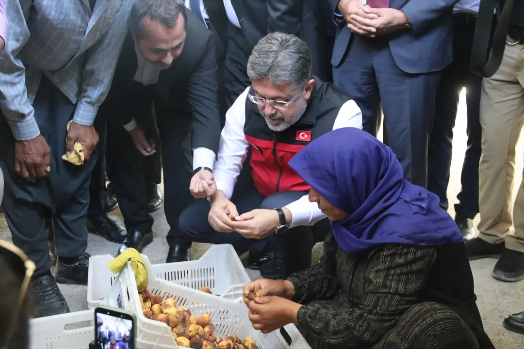 Yumaklı: Türkiye kayısıda dünya birincisi