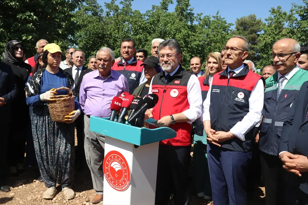 Yumaklı: Türkiye kayısıda dünya birincisi