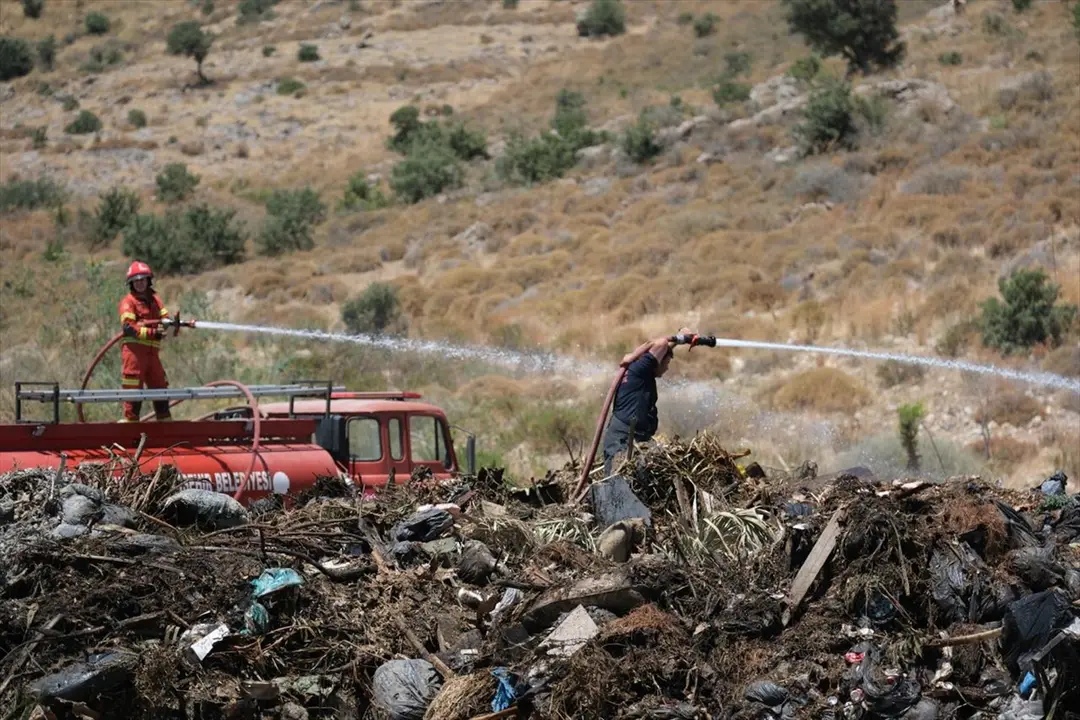 Bodrum İtfaiyesi: Yangın alanındaki ineklere su verdik
