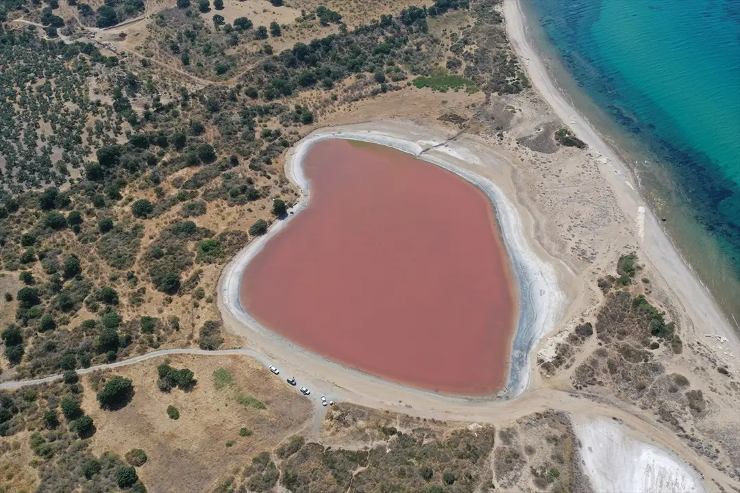 Çanakkale'nin Kalpli Gölü yeniden pembeye büründü: Doğal olay
