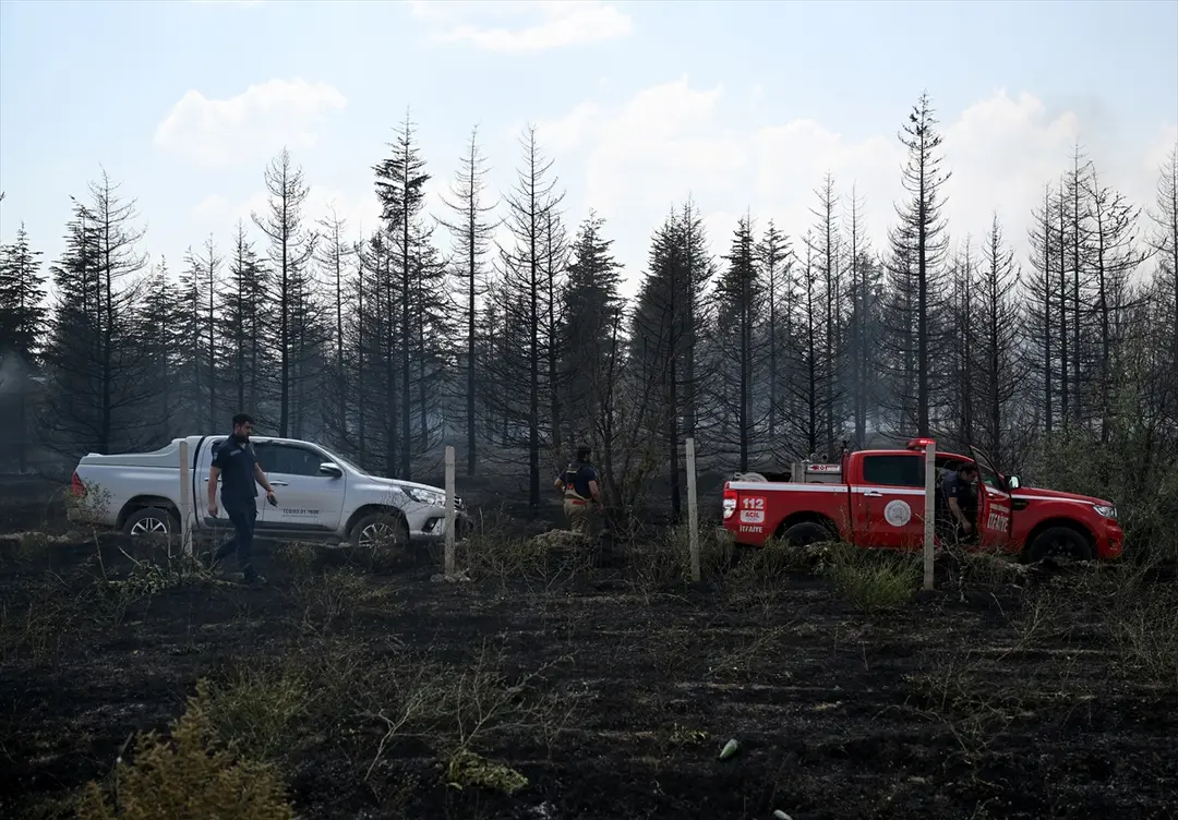 Ankara Yenimahalle'de ot yangınına havadan ve karadan müdahale