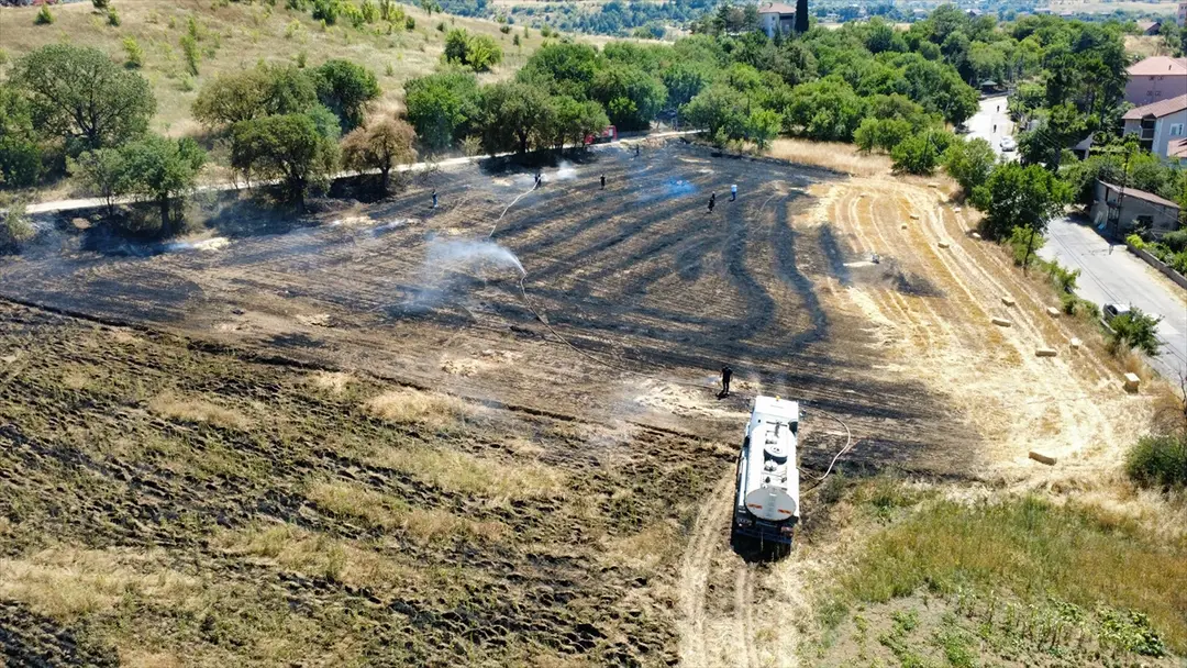 Karabük'te Anız Yangını: 25 Dönüm Alan Zarar Gördü