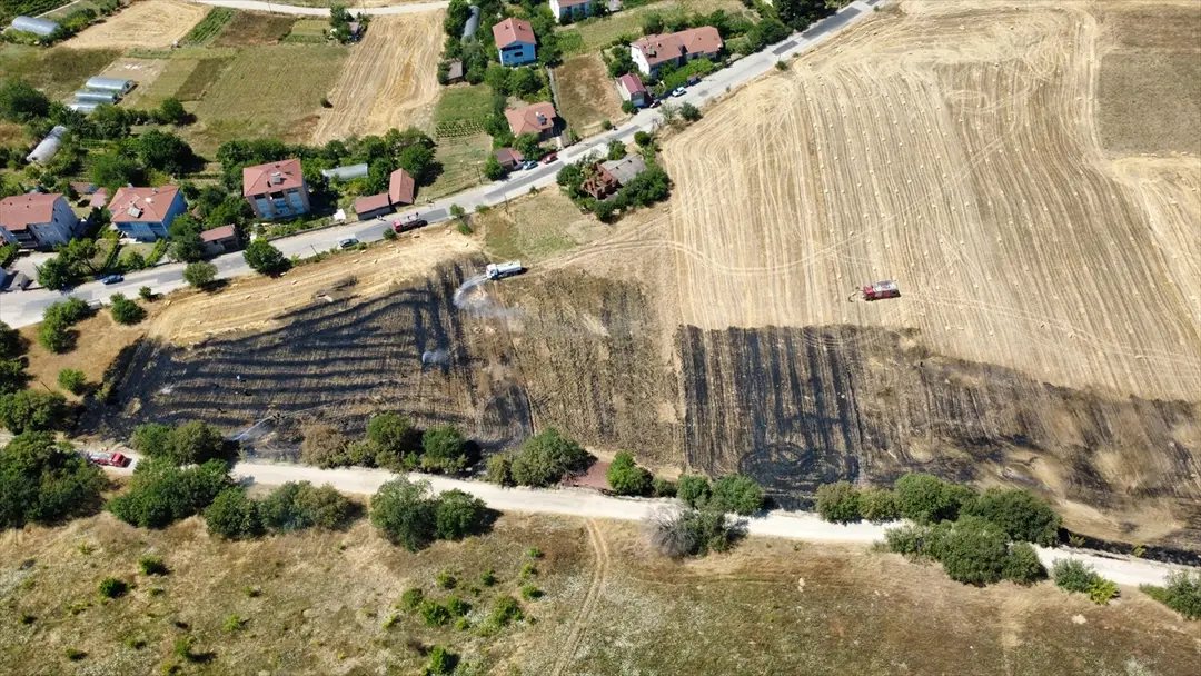 Karabük'te Anız Yangını: 25 Dönüm Alan Zarar Gördü