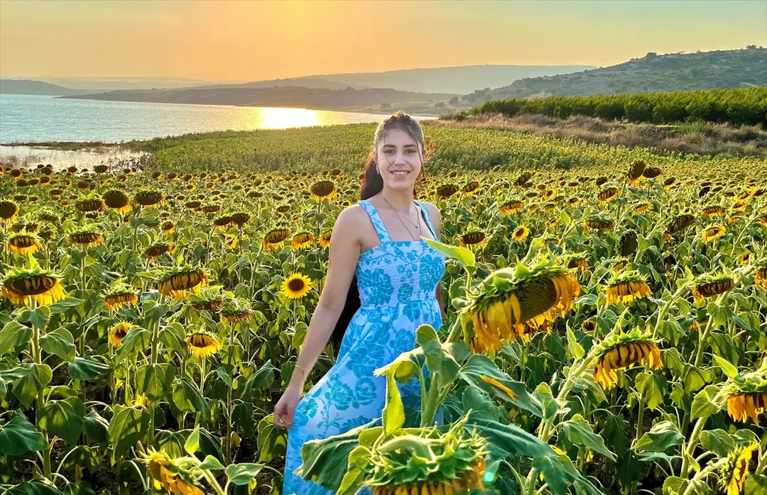 Mersin's Sunflower Fields Turn Yellow, Captured from Air