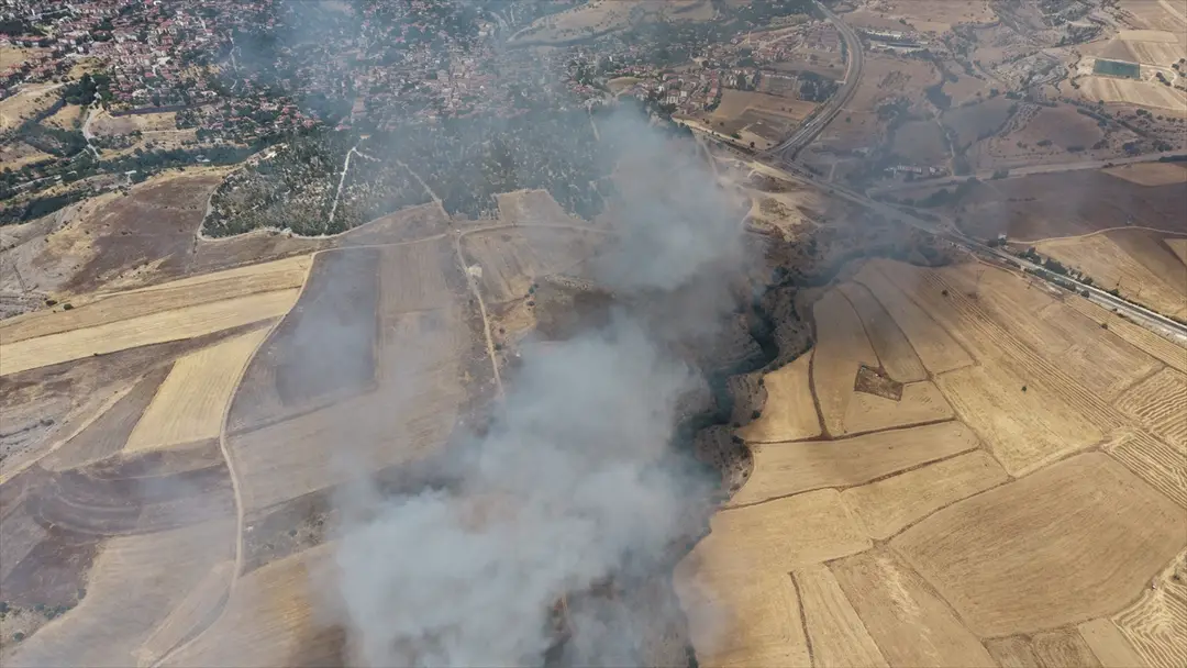 Stoppelfeldbrand in Safranbolu: Einsatzkräfte greifen ein