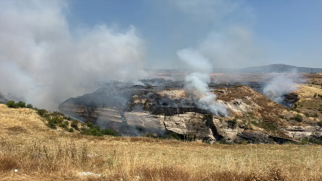 Stoppelfeldbrand in Safranbolu: Einsatzkräfte greifen ein
